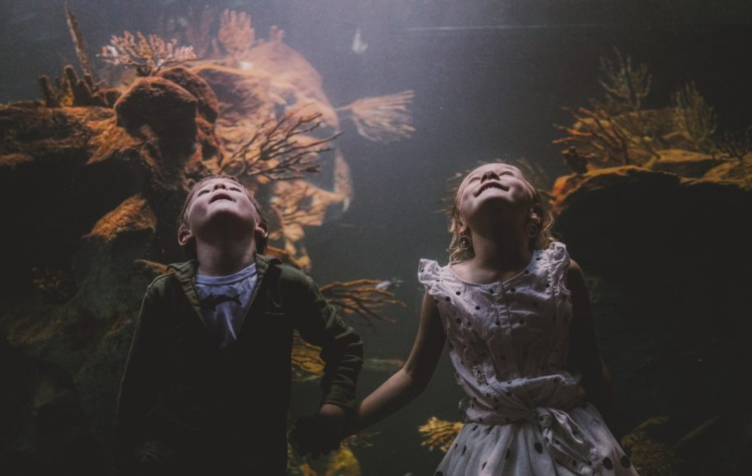 aquarium museum customer experience