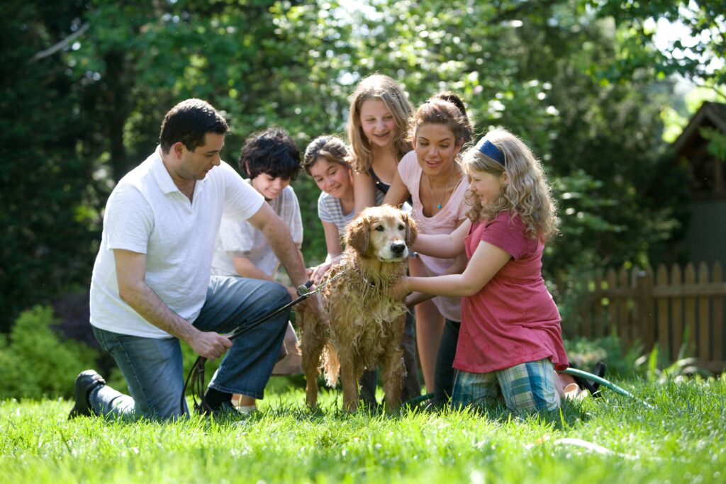 employee experience by generation gen X work-life balance