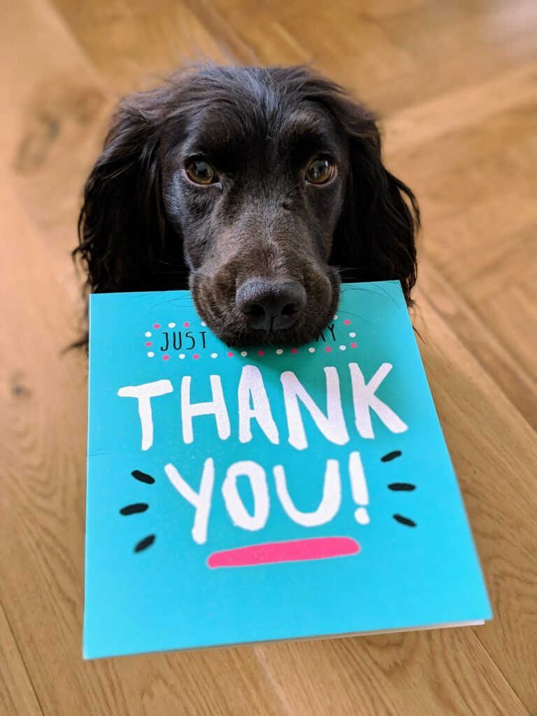 employee recognition can improve productivity and engagement