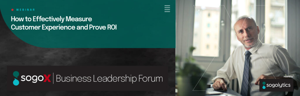 CX and ROI Sogolytics webinar