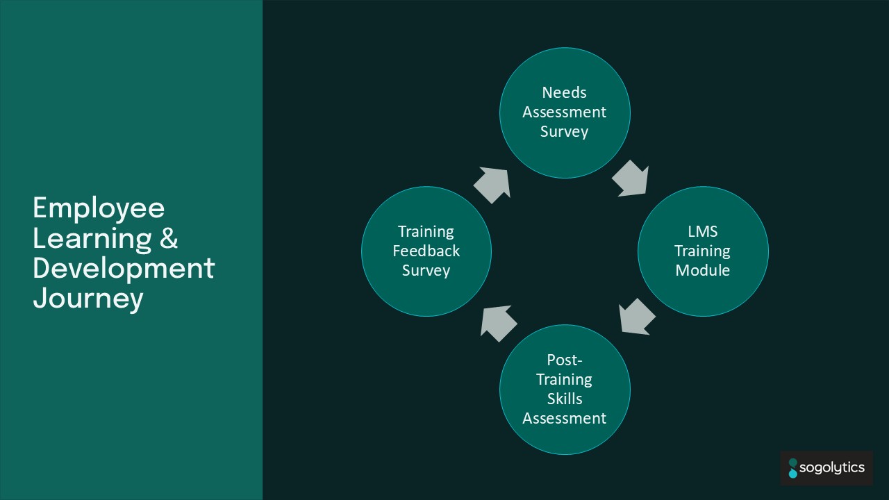 Employee Learning and Development Journey graph depicting a continuous circle